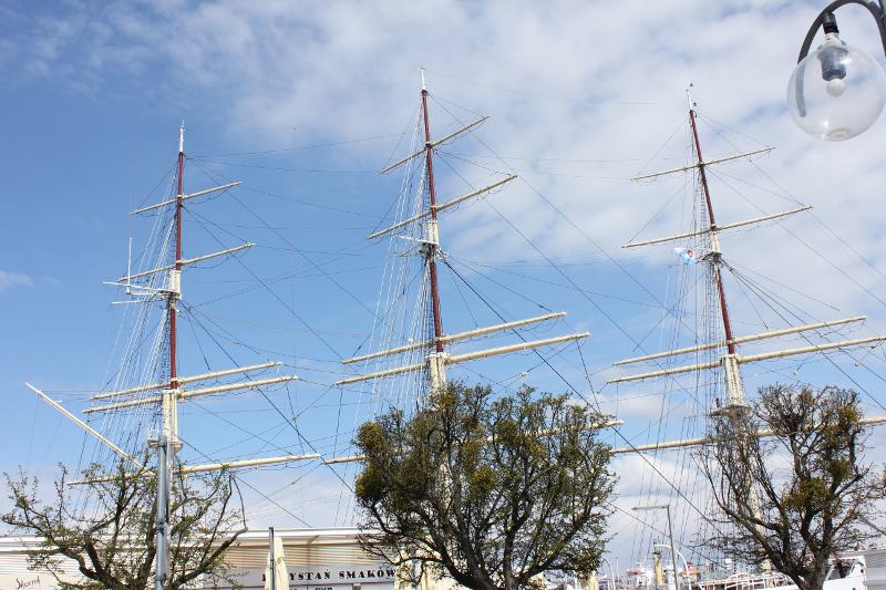Mast Tree Planting